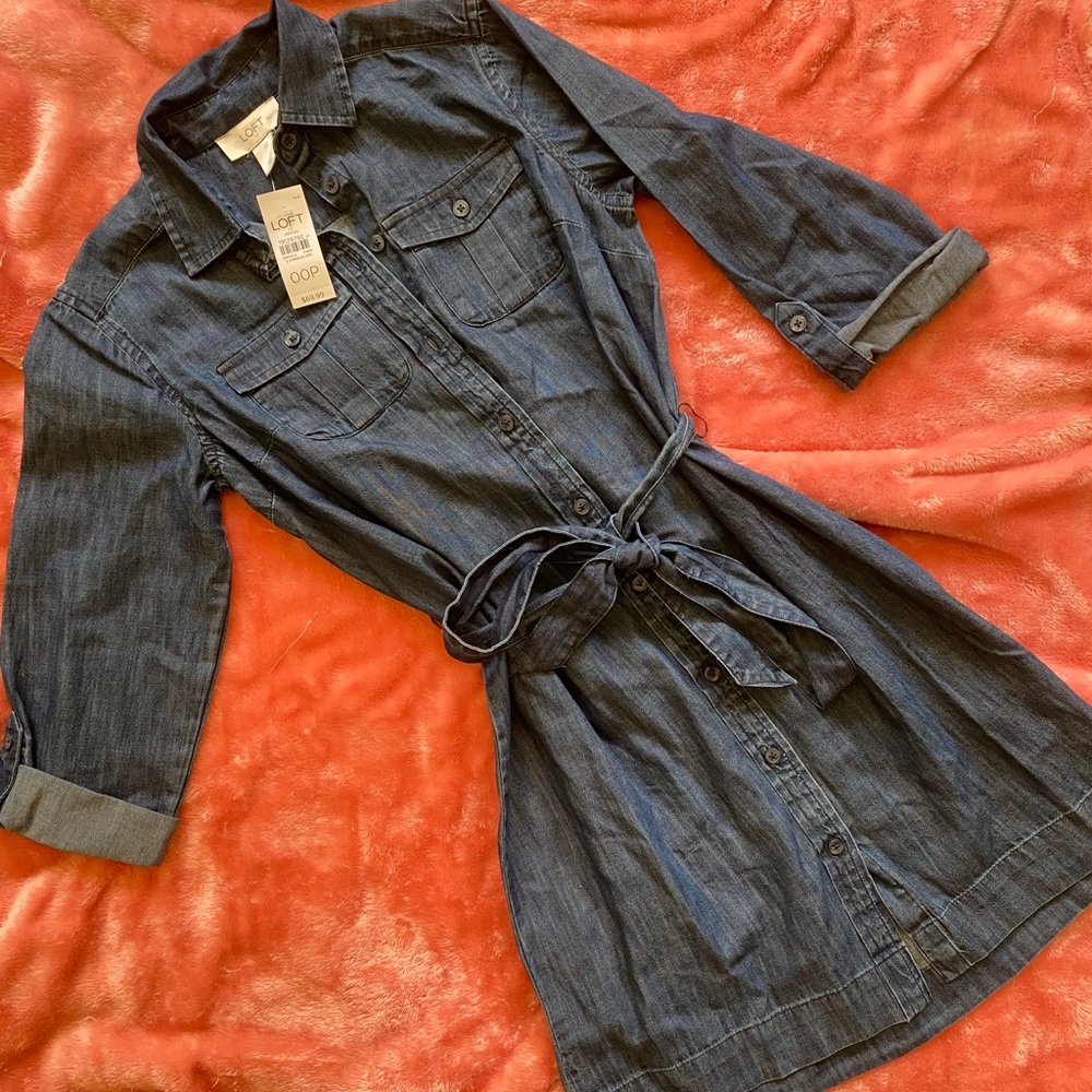 Fall denim dress